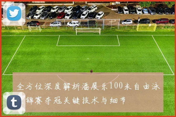 全方位深度解析潘展乐100米自由泳世锦赛夺冠关键技术与细节