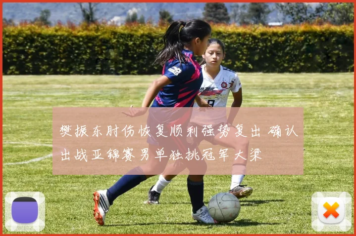 樊振东肘伤恢复顺利强势复出 确认出战亚锦赛男单独挑冠军大梁